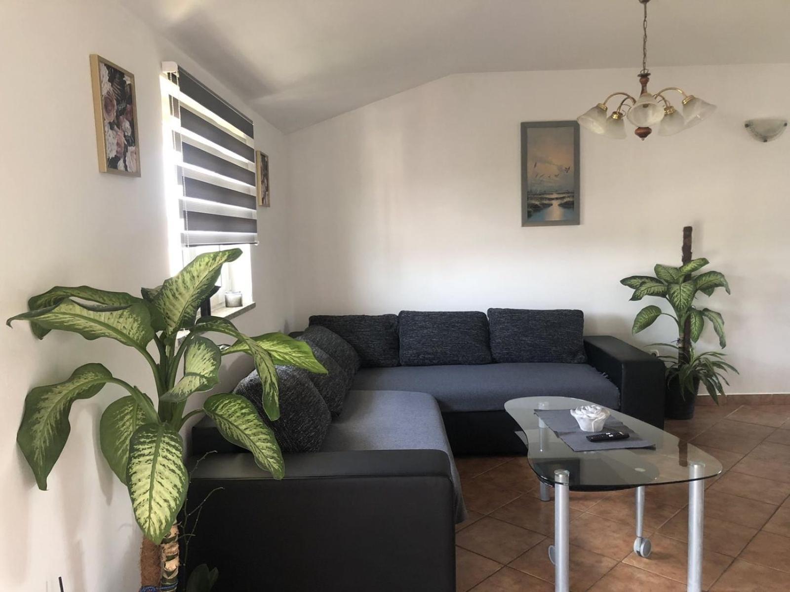 Apartman Sara 罗维尼 外观 照片